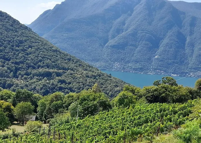 Cascina Teresina Alojamento de Turismo Rural