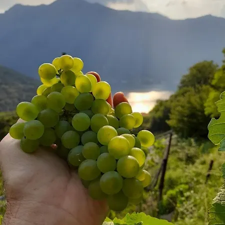 Alloggio per agriturismo Cascina Teresina *