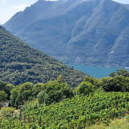 Cascina Teresina Фермерский дом