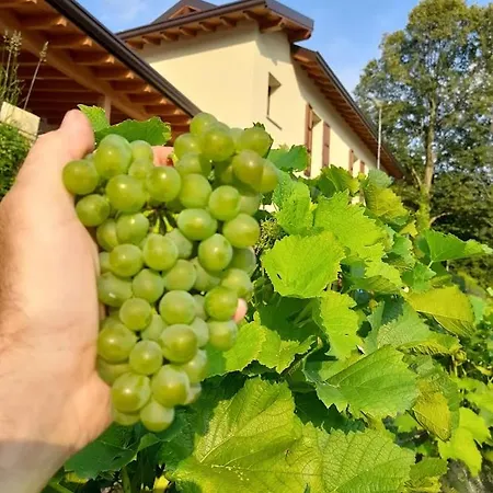 Cascina Teresina