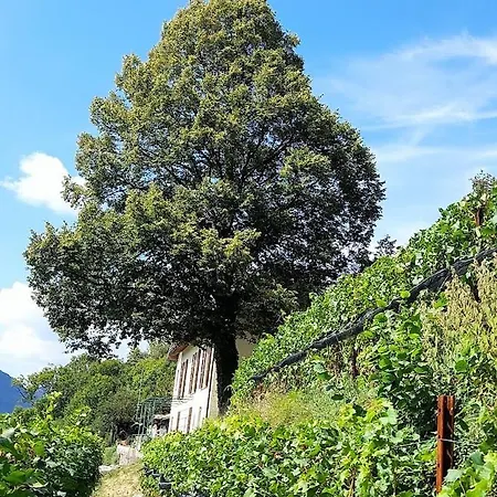 Фермерский дом Cascina Teresina Veleso