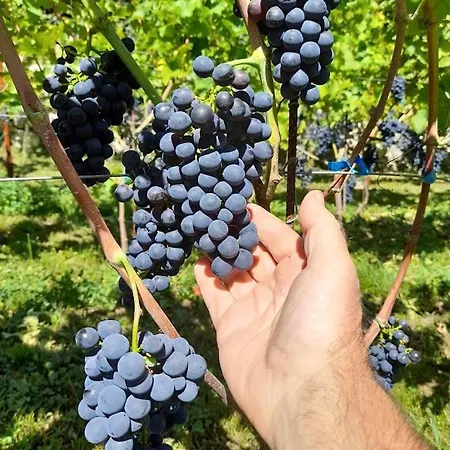 Cascina Teresina Veleso