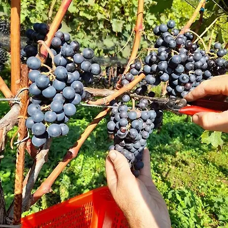 Cascina Teresina Feriegård *