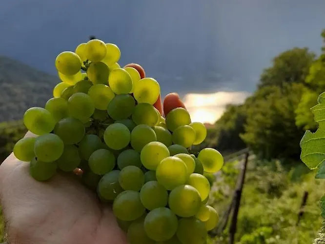 Farm stay Cascina Teresina *