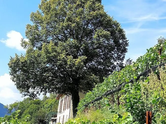 Farm stay Cascina Teresina Veleso