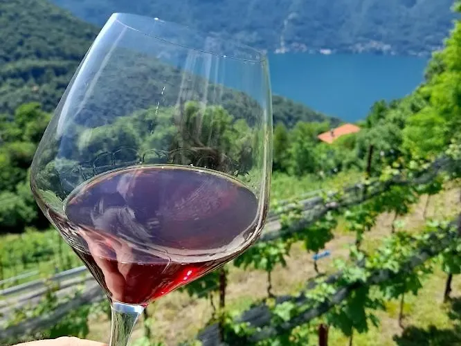 Cascina Teresina Farm stay *