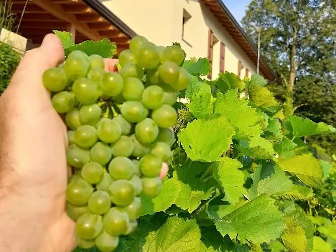 Cascina Teresina